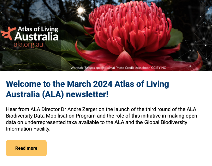 header banner of ALA's March 2024 newsletter, showing a waratah, a large red flower, and the ALA logo