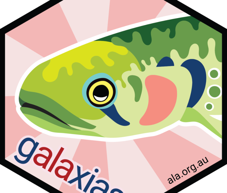 A galaxias fish design in a hexagon sticker