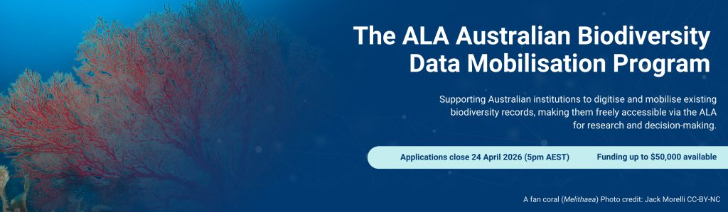 an orange fan coral (genus Melithaea) with dark ocean blue background