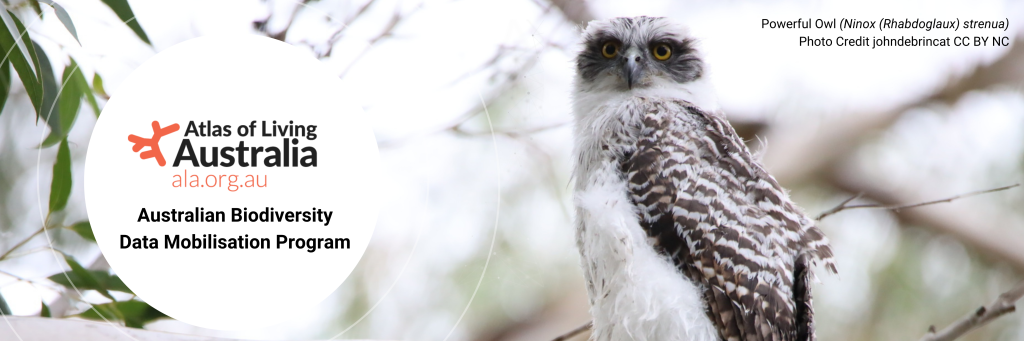 an owl with branches and sky behind. text reads ALA Australian Biodiversity Data Mobilisation Program