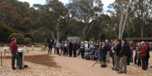 Crowd at the Tree of Trees launch