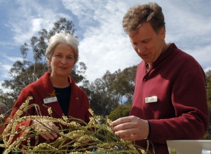 Judy West and Joe Miller examining a wattle