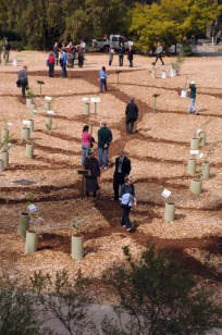 People along the phylogenetic tree