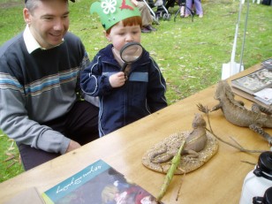 ANBG Open Day 2010 - Father and Son looking at Stick Insect