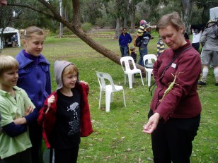 ANBG Open Day 2010 - Annette showing kids the stick insect