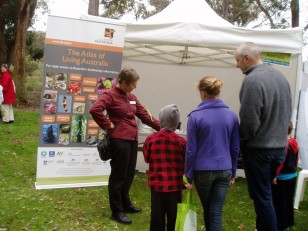 ANBG Open Day 2010 - Annette showing visitors the stick insect