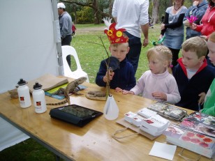 ANBG Open Day 2010 - Kids looking at the stick insect