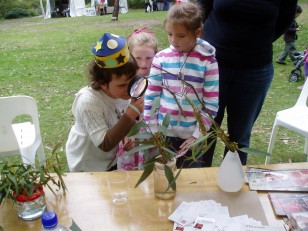 ANBG Open Day 2010 - Kids looking at Stick Insects