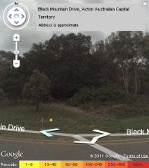 Example of a Street View sighting of a species