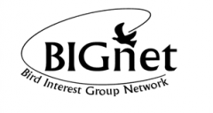 BIGnet logo