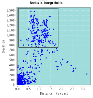 Banksia integrifolia distance to coast vs elevation