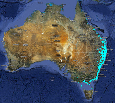 Banksia integrifolia occurrence locations