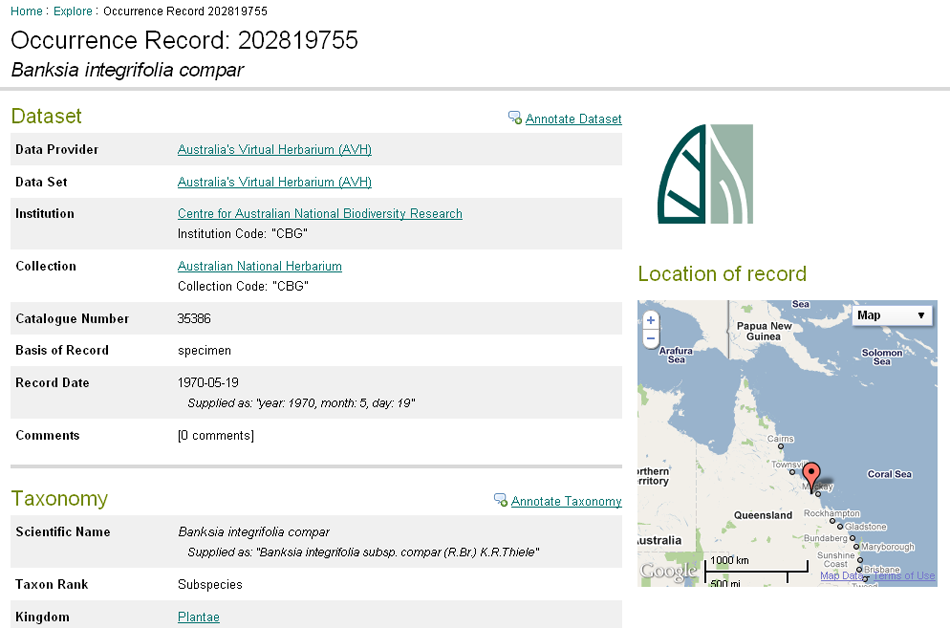 Banksia integrifolia occurrence record Banksia integrifolia occurrence record