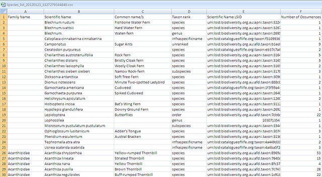 Export Checklist download in Excel Export Checklist download in Excel