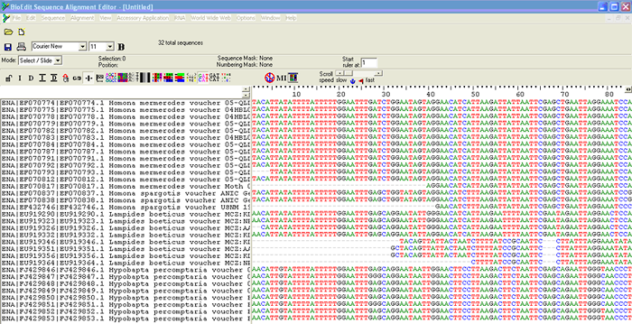 BioEdit Sequence Alignment Editor BioEdit Sequence Alignment Editor