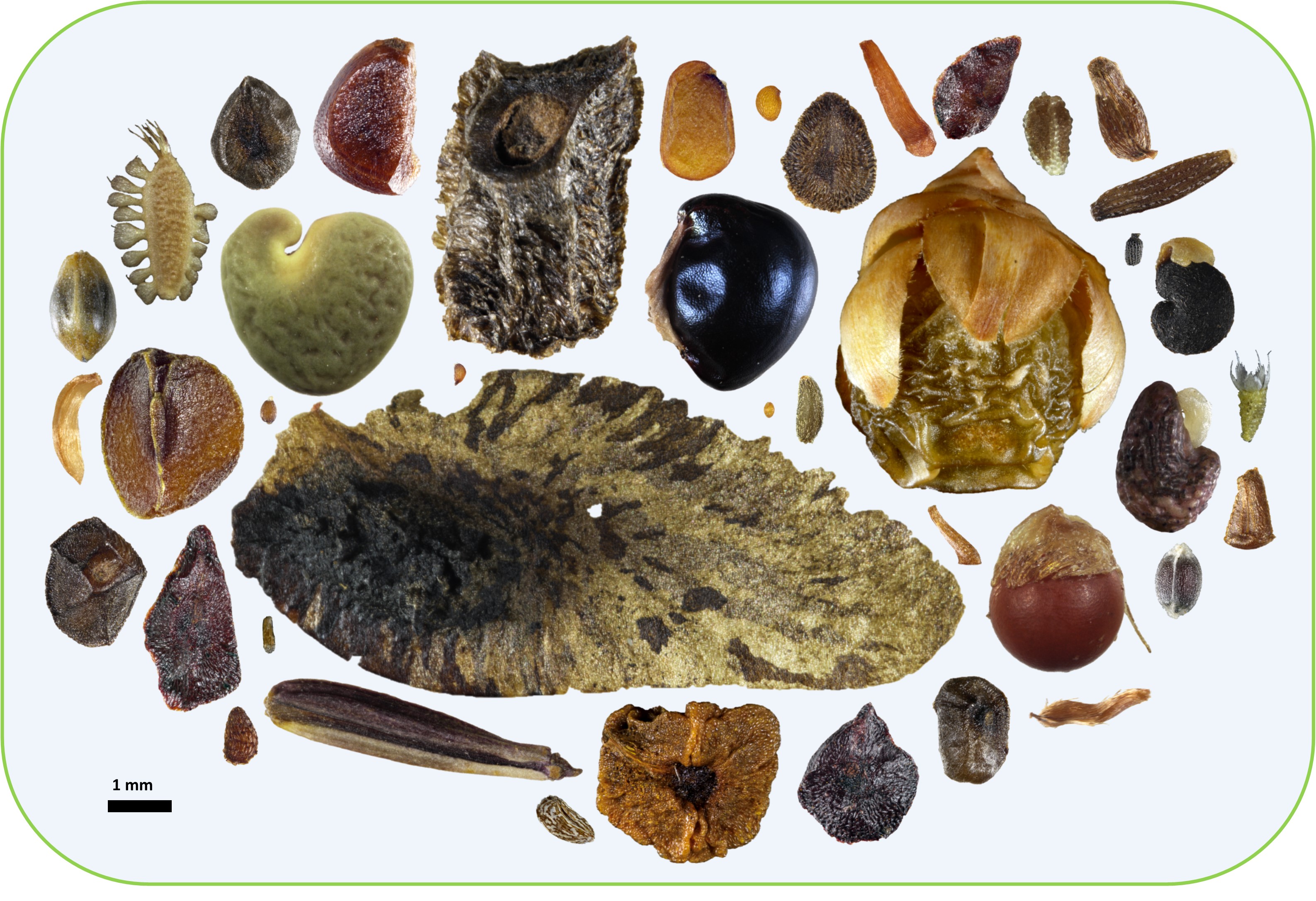 ALA Blog Atlas of Living Australia